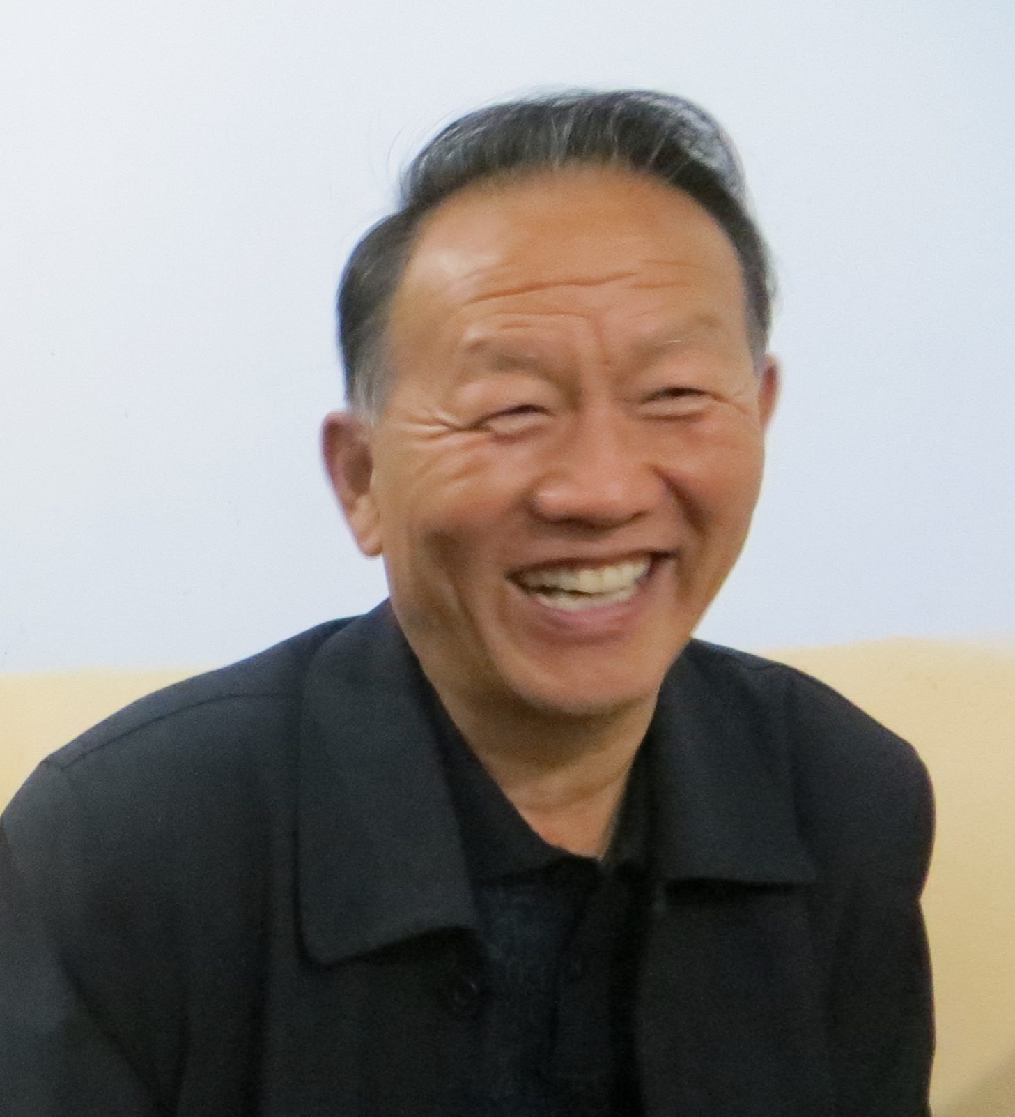 li-jin-2013