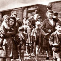 1945 refugees https://stephenjones.blog/2018/02/16/echoes-of-the-past-1/